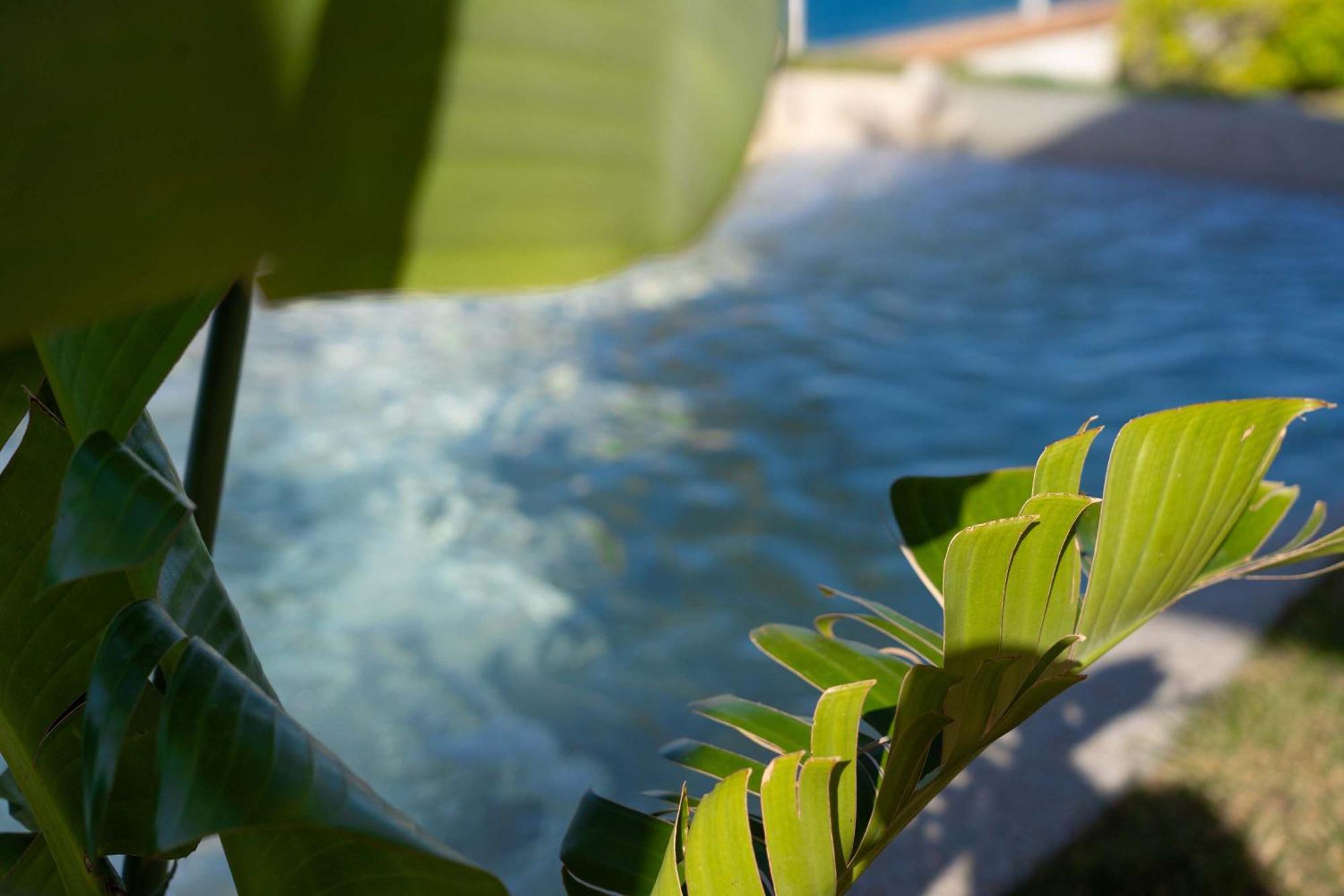 Villa Zagara Garden Spectacular Sea View In Taormina Kültér fotó